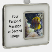 gelbe u. weiße Salzwasser Copperband Butterflyfish Rahmen-Ornament Silber (Rechts)