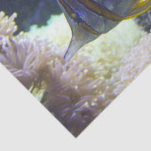 gelbe u. weiße Salzwasser Copperband Butterflyfish Seidenpapier (Ausschnitt)