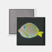 Gelbe und blaue Fischmagnete Magnet (Vorderseite/Rückseite)