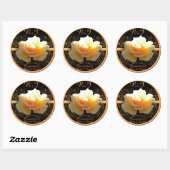 Gelbe und goldene Rose in Glanz Runder Aufkleber (Blatt)