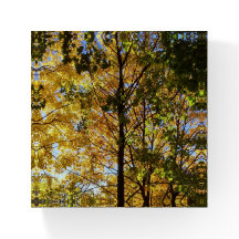 Gelbe und grüne Auflage