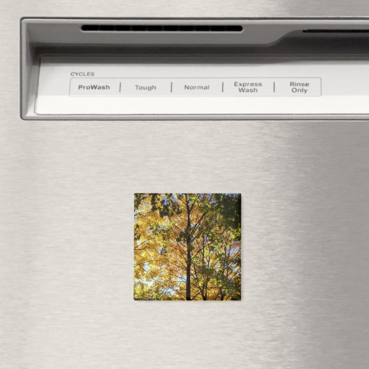 Gelbe und grüne Auflage Magnet (In Situ (Geschirrspüler))