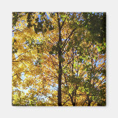 Gelbe und grüne Auflage Magnet (Vorne)