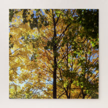 Gelbe und grüne Auflage