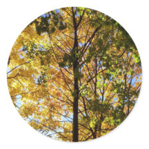 Gelbe und grüne Auflage