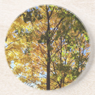 Gelbe und grüne Herbstfoliage Getränkeuntersetzer