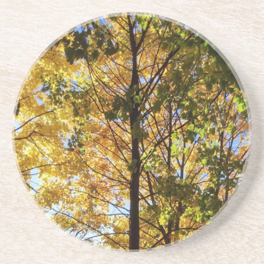 Gelbe und grüne Herbstfoliage Getränkeuntersetzer (Vorne)