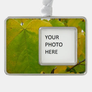 Gelbe und grüne Judasbaumblätter Rahmen-Ornament Silber