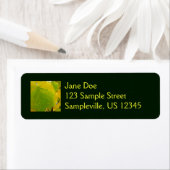 Gelbe und grüne Redbud-Blätter (Insitu)