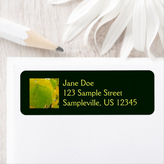 Gelbe und grüne Redbud-Blätter (Insitu)