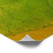 Gelbe und grüne Redbud-Blätter Poster (Ecke)