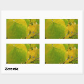 Gelbe und grüne Redbud-Blätter Rechteckiger Aufkleber (Blatt)