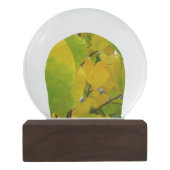 Gelbe und grüne Redbud-Blätter Schneekugel (Rückseite)