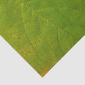 Gelbe und grüne Redbud-Blätter Seidenpapier (Detail)