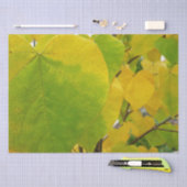 Gelbe und grüne Redbud-Blätter Seidenpapier (Handwerk)