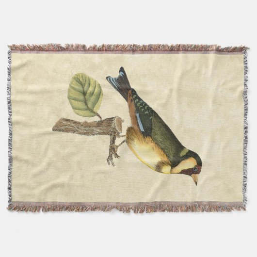 Gelbe und grüne Vögel auf einem kleinen Zweig Decke (Vorderseite)