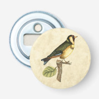 Gelbe und grüne Vögel auf einem kleinen Zweig