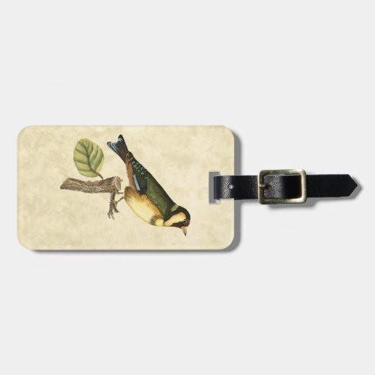 Gelbe und grüne Vögel auf einem kleinen Zweig Gepäckanhänger (Vorderseite horizontal)