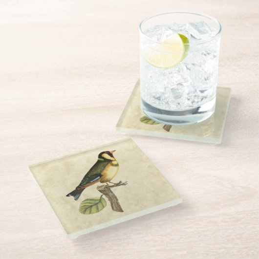 Gelbe und grüne Vögel auf einem kleinen Zweig Glasuntersetzer (Schrägansicht)