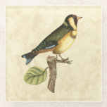 Gelbe und grüne Vögel auf einem kleinen Zweig Glasuntersetzer<br><div class="desc">Dieser graviert inspirierte Druck zeigt scharfe,  lebendige Bilder mit hoher Farbgenauigkeit. Der neutrale Hintergrund hebt die Farben des Vogels hervor. Passen Sie Ihr liebstes Zazzle-Produkt mit diesem schönen Bild an.</div>