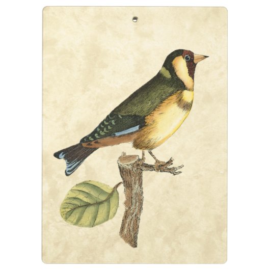 Gelbe und grüne Vögel auf einem kleinen Zweig Klemmbrett (Rückseite)