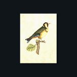 Gelbe und grüne Vögel auf einem kleinen Zweig Leinwanddruck<br><div class="desc">Dieser graviert inspirierte Druck zeigt scharfe, lebendige Bilder mit hoher Farbgenauigkeit. Der neutrale Hintergrund hebt die Farben des Vogels hervor. Passen Sie Ihr liebstes Zazzle-Produkt mit diesem schönen Bild an.</div>