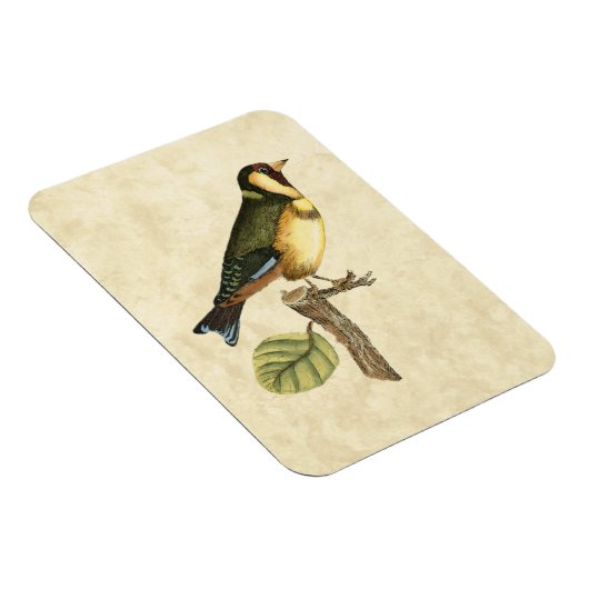 Gelbe und grüne Vögel auf einem kleinen Zweig Magnet (Rechte Seite)