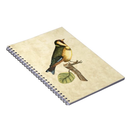 Gelbe und grüne Vögel auf einem kleinen Zweig Notizblock (Rechte Seite)