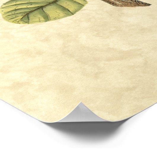 Gelbe und grüne Vögel auf einem kleinen Zweig Poster (Ecke)