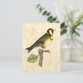 Gelbe und grüne Vögel auf einem kleinen Zweig Postkarte (Stehend Vorderseite)