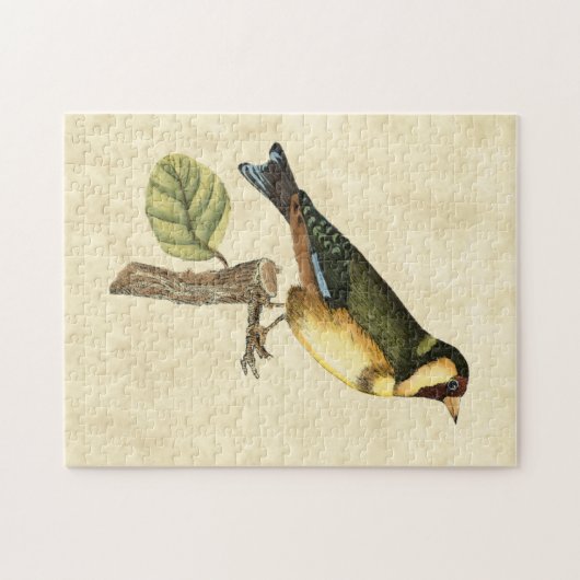 Gelbe und grüne Vögel auf einem kleinen Zweig Puzzle (Horizontal)