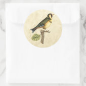 Gelbe und grüne Vögel auf einem kleinen Zweig Runder Aufkleber (Tasche)