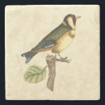 Gelbe und grüne Vögel auf einem kleinen Zweig Steinuntersetzer<br><div class="desc">Dieser graviert inspirierte Druck zeigt scharfe,  lebendige Bilder mit hoher Farbgenauigkeit. Der neutrale Hintergrund hebt die Farben des Vogels hervor. Passen Sie Ihr liebstes Zazzle-Produkt mit diesem schönen Bild an.</div>