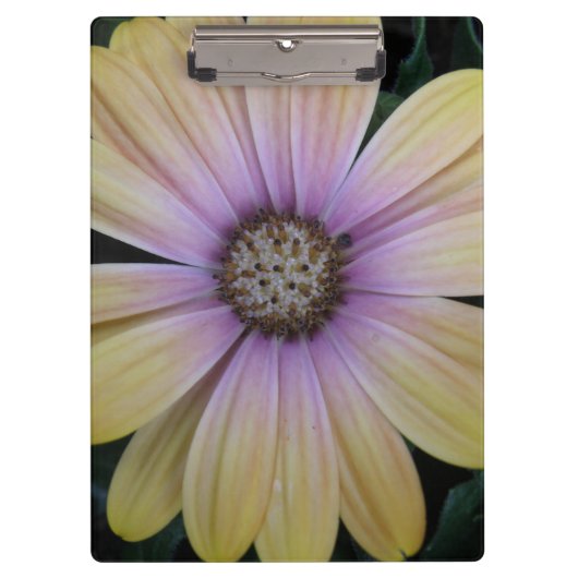Gelbe und Lila Blume Klemmbrett (Vorderseite)