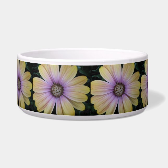 Gelbe und Lila Blume Napf (Vorderseite)