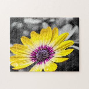 Gelbe und lila Gänseblume Puzzle