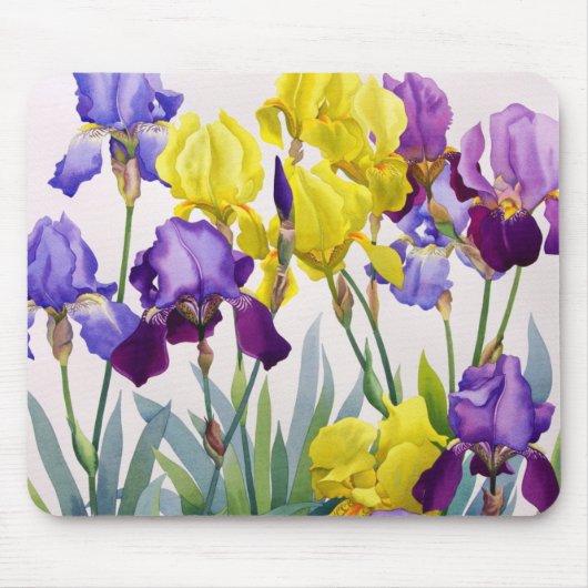 Gelbe und lila Iris Mousepad (Vorne)
