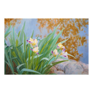 Gelbe und Lila Irische mit goldenem Licht Fotodruck