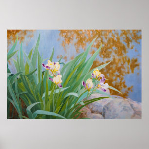 Gelbe und Lila Irische mit goldenem Licht Poster