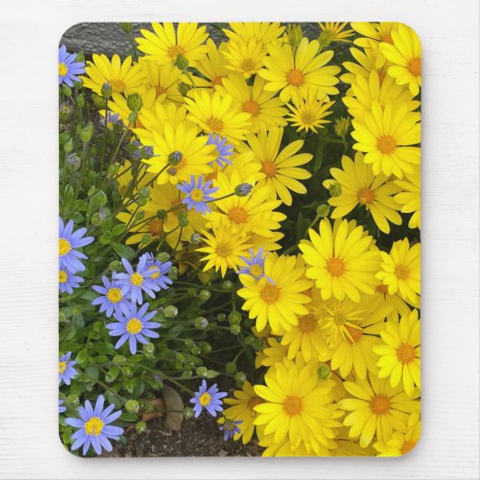 Gelbe und Lila Milchmäuse Mousepad (Vorne)