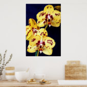 Gelbe und Lila Orchideen Poster (Küche)