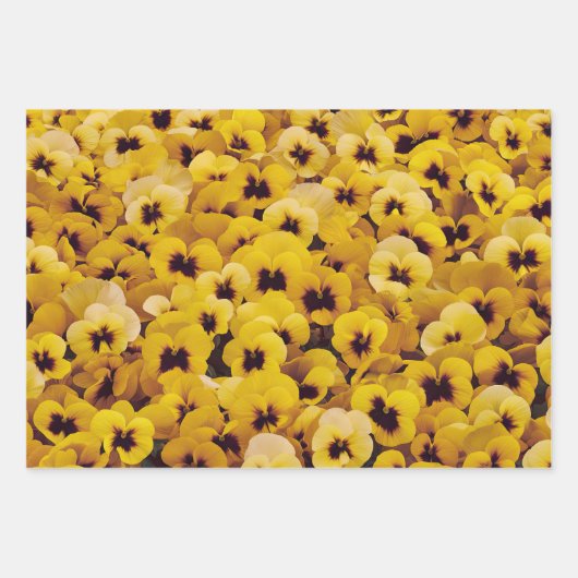 Gelbe und Lila Stiefmütterchen Geschenkpapier Set (Vorderseite 2)