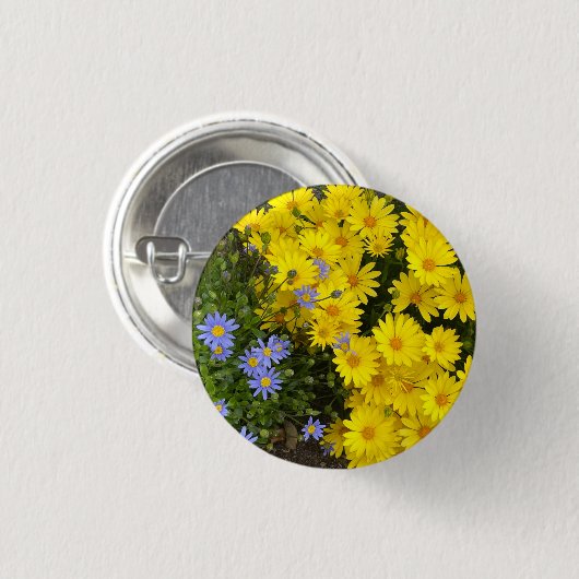 Gelbe und Lila Taste Button (Vorne & Hinten)