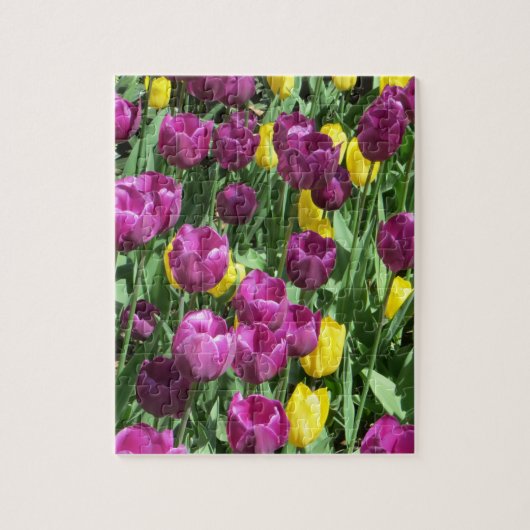 Gelbe und Lila Tulip Blume Puzzle (Vertikal)