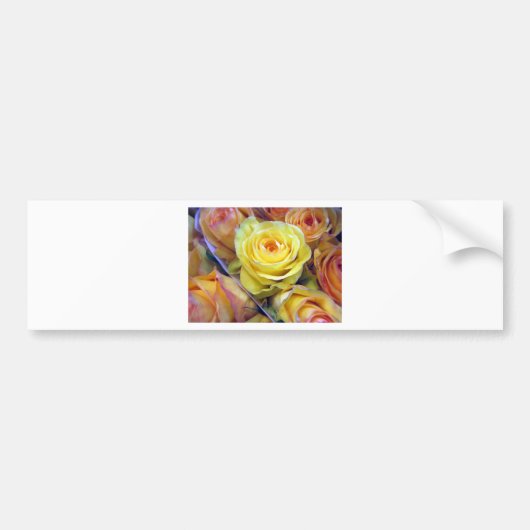 Gelbe und orange Rose Autoaufkleber (Vorne)