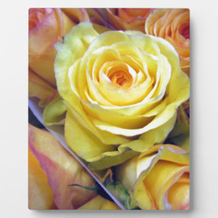 Gelbe und orange Rose Fotoplatte