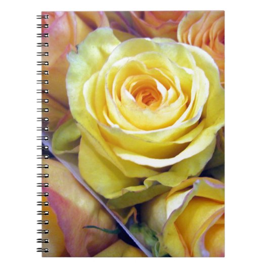 Gelbe und orange Rose Notizblock (Vorderseite)
