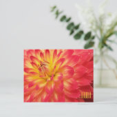 Gelbe und rosa Dahlia Horiztonale Postkarte (Stehend Vorderseite)