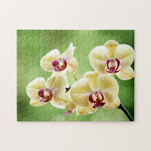 Gelbe und rosa Orchidee mit Blumen Puzzle (Horizontal)