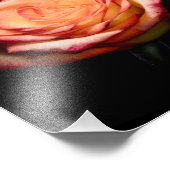 Gelbe und rosa Rosen 1998 Fotodruck (Ecke)